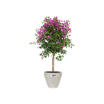 vibia campana 40cm blanc soie